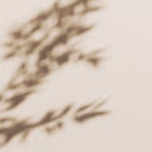 Meet your Posher, Aubrey